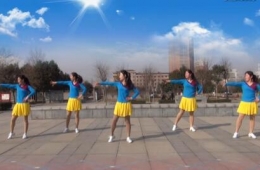 動(dòng)感時(shí)尚的健身舞 鞏義春之花原創(chuàng)教學(xué)《Sha La Long》